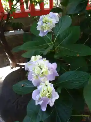 水鏡天満宮(福岡県)