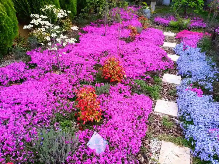 寿量山 速成寺(奈良県)