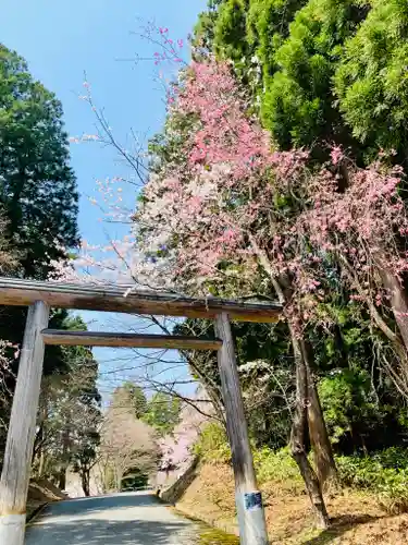 土津神社｜こどもと出世の神さまの鳥居