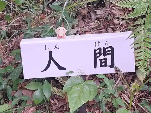 宝満寺(大分県)