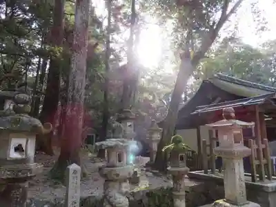 春日大社(奈良県)