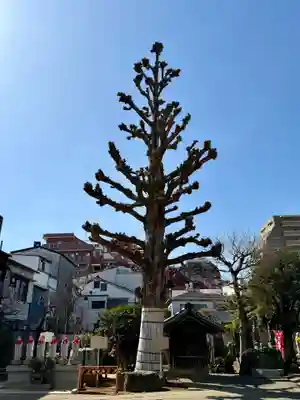 福王山  慈眼寺(東京都)