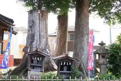 八枝神社(埼玉県)