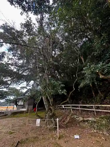 磯辺神社(京都府)