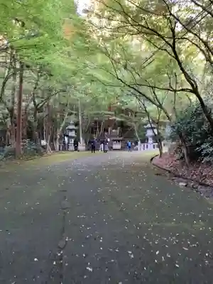 大矢田神社(岐阜県)