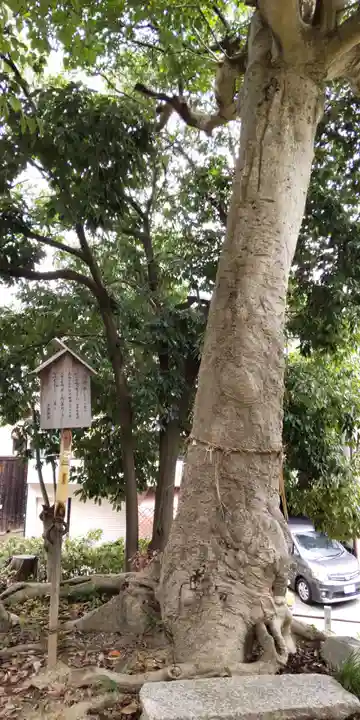 甲鉾神社(大阪府)