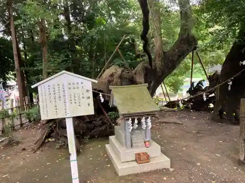 草薙神社(静岡県)