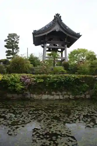 観音寺(滋賀県)