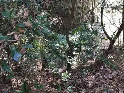 高根神社の周辺
