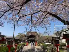 六孫王神社(京都府)