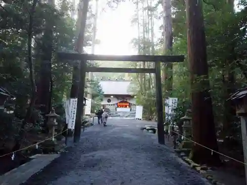 椿大神社の鳥居