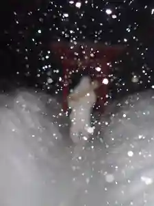 白狐山光星寺(山形県) 2023年01月09日(月)〜(2023年01月09日(月) 14時59分04秒投稿)