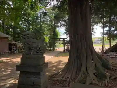 大森鳥見神社(千葉県)