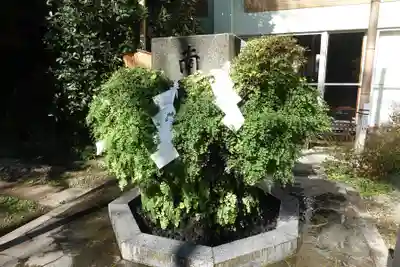 東神社(東京都)