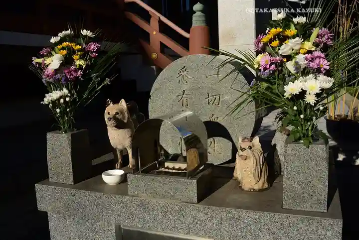 金藏院(神奈川県)