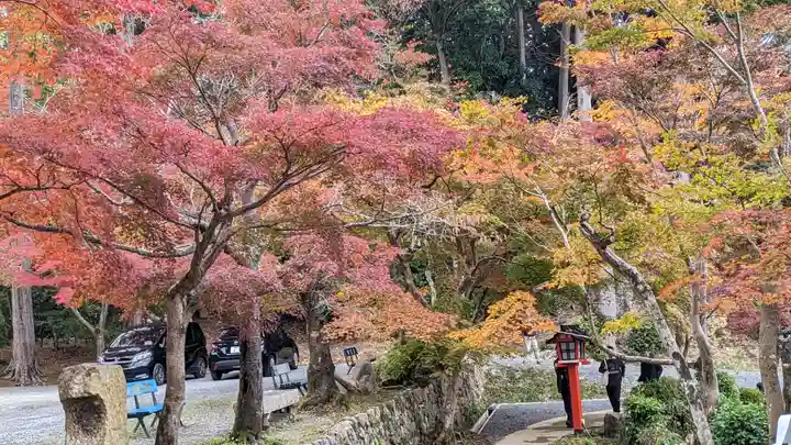 大原野神社(京都府)
