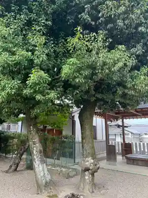 率川神社（大神神社摂社）(奈良県)