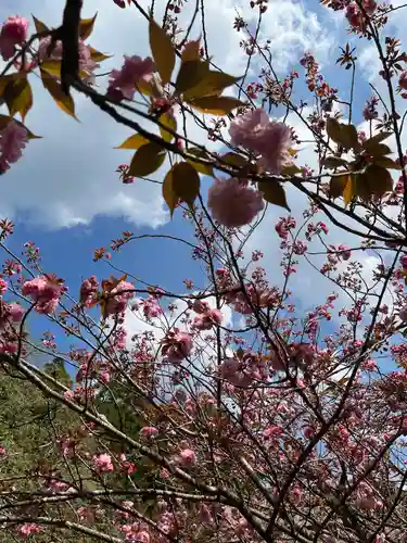 宝満宮竈門神社(福岡県)