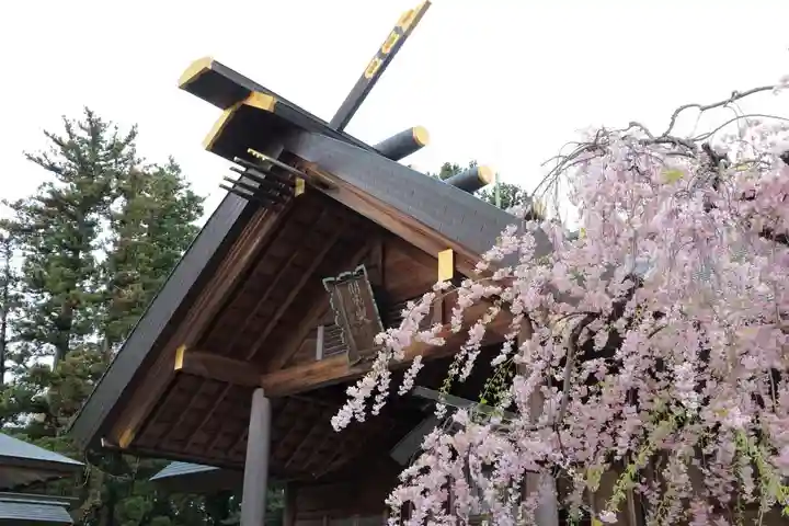 開成山大神宮の本殿・本堂