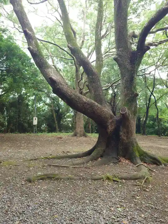 宗像大社(福岡県)