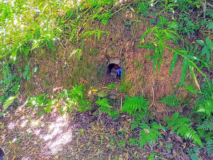 阿弥陀寺の周辺