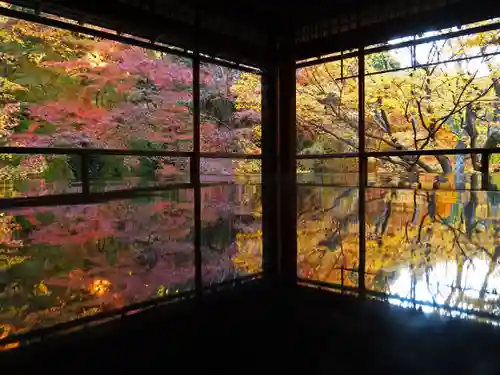 光明寺瑠璃光院(京都府)