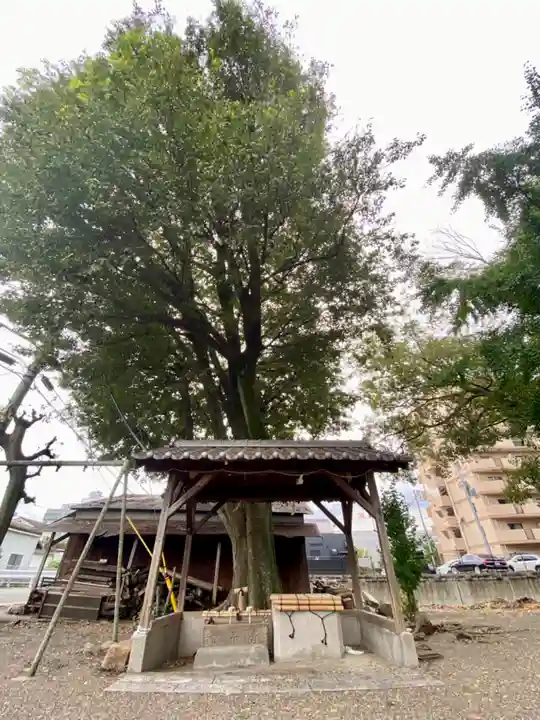 三栖神社(京都府)