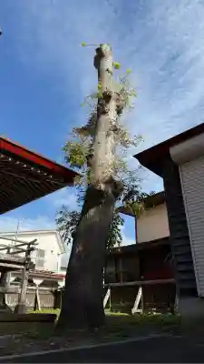 上磯八幡宮(北海道)