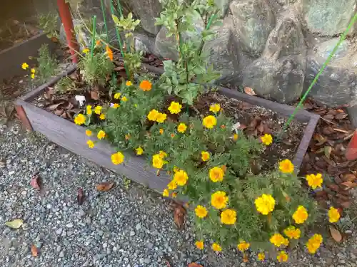 大船観音寺(神奈川県)
