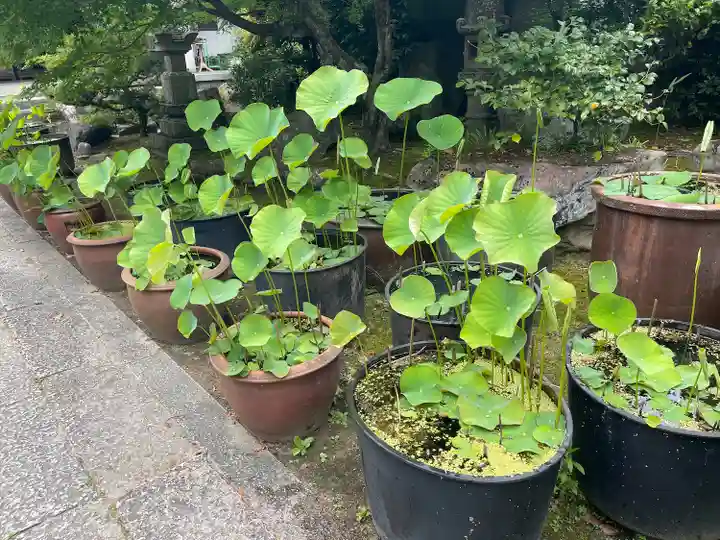 伊勢の国 四天王寺(三重県)