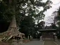 光岡八幡宮(福岡県)