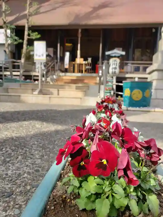 高円寺氷川神社のその他建物