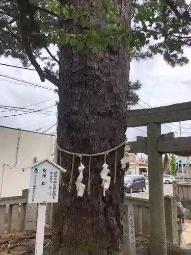 四所神社の自然