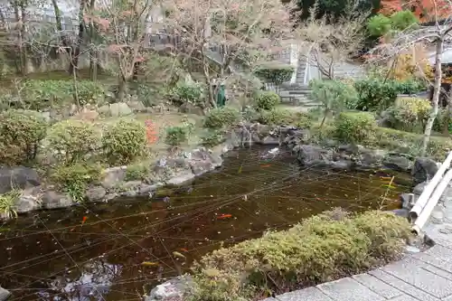 慈眼寺の庭園