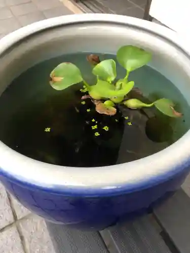 片岡神社(静岡県)