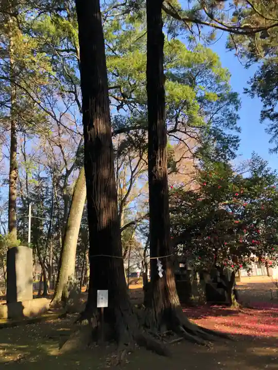 東蕗田天満社の自然