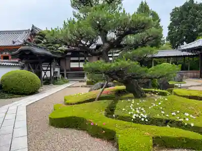 酒見寺(兵庫県)