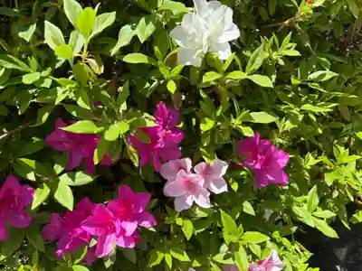 廣田神社(兵庫県)