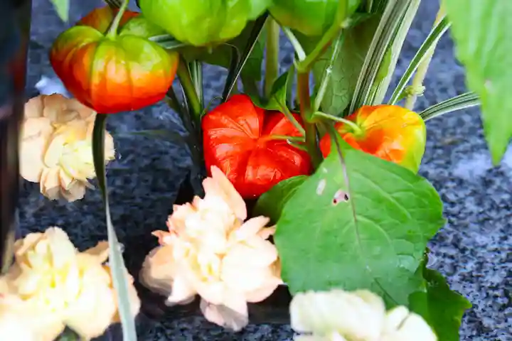 三津厳島神社の手水舎