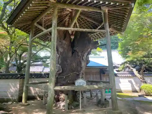 根香寺(香川県)