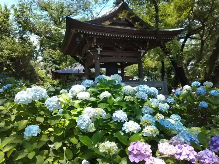 妙楽寺(神奈川県)