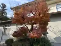 於神社(奈良県)