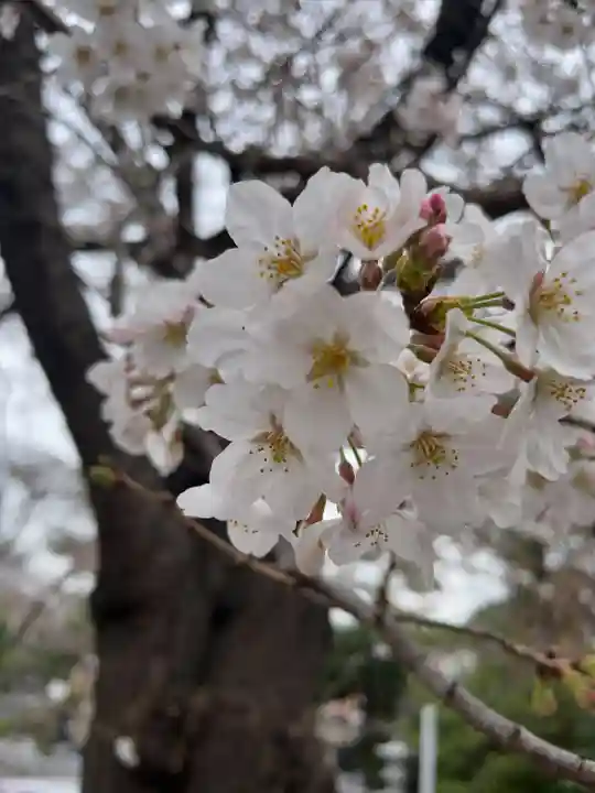 池上本門寺(東京都)