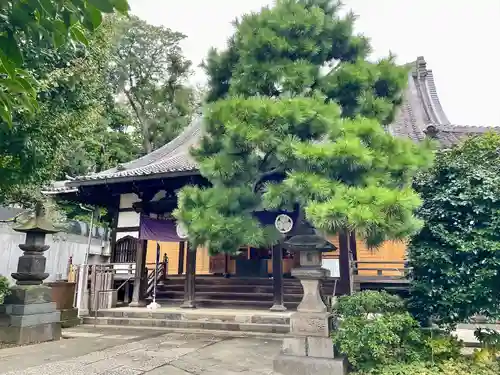 善光寺(東京都)