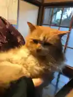 長光寺(静岡県)