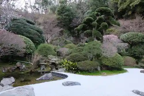 報国寺の庭園