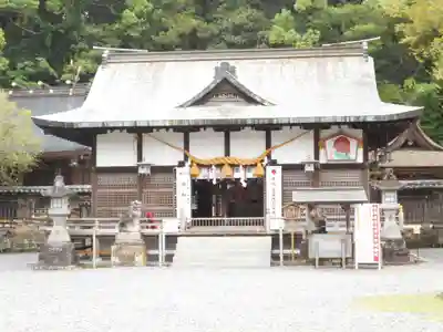 闘鶏神社の本殿・本堂