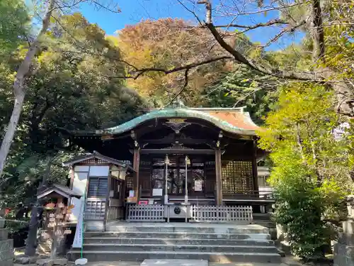 御田八幡神社の本殿・本堂