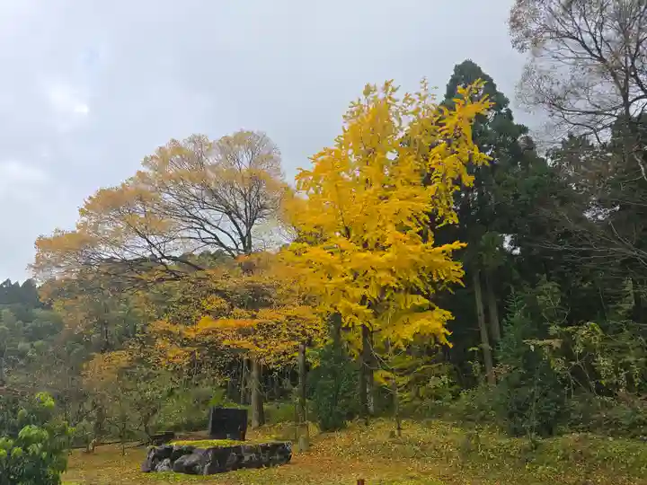 邇々杵神社(滋賀県)