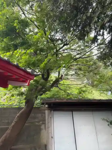 宝玉稲荷神社の{uncategorized: "未分類", other: "その他", undefined: "問題あり", building: "その他建物", grave: "お墓", sacred_gate: "鳥居", guardian: "狛犬", statue: "像", buddha: "仏像", history: "歴史", nature: "自然", garden: "庭園", animal: "動物", pagoda: "塔", temizu: "手水舎", mountain_gate: "山門・神門", sanctuary: "本殿・本堂", subordinate: "末社・摂社", art: "芸術", scenery: "景色", jizo: "地蔵", ema: "絵馬", goshuin: "御朱印", omikuji: "おみくじ", items: "授与品その他", amulet: "お守り", goshuincho: "御朱印帳", eats: "食事", festival: "お祭り", votive_dance: "神楽", shichigosan: "七五三参", wedding: "結婚式", experience: "体験その他", initially: "初詣", around: "周辺", anti_infection: "感染症対策"}
